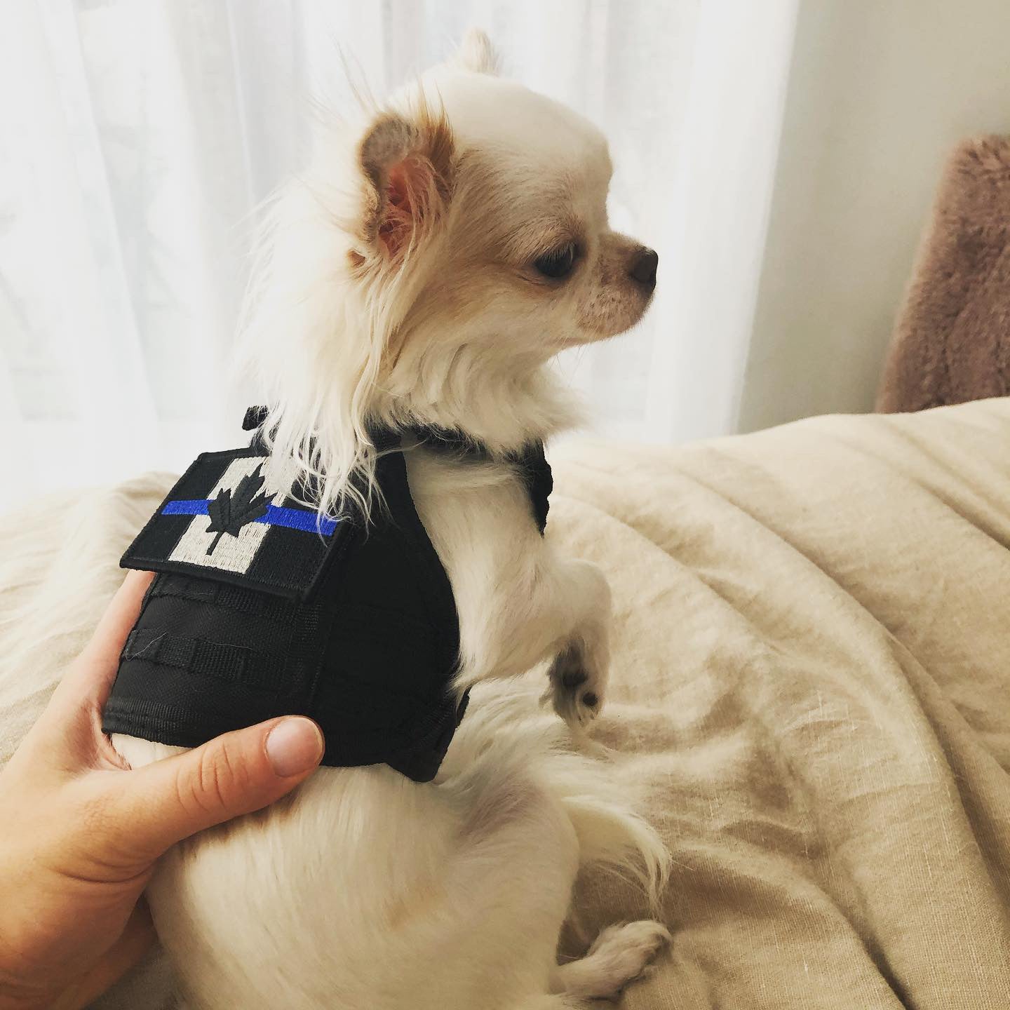 Tactical Vest Beer Koozie